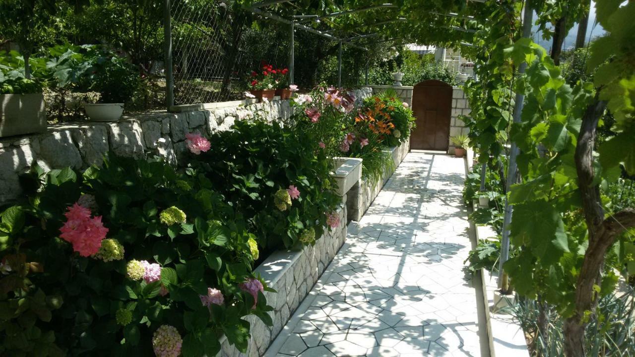 Villa Silvija Mlini Ngoại thất bức ảnh